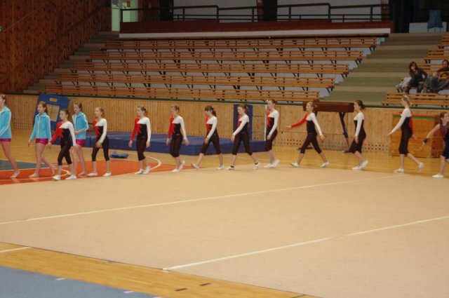 Plzeňský pohár 06.11.2010 - TeamGym Junior II.