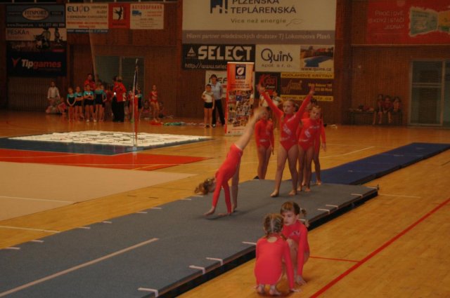 Plzeňský pohár 2012