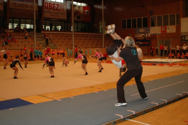 Plzeňský pohár 2012