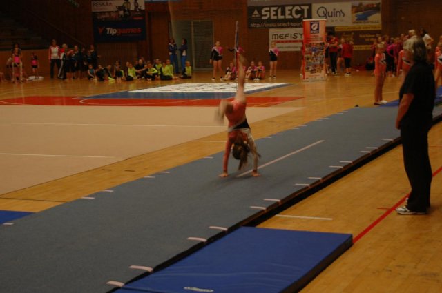 Plzeňský pohár 2012