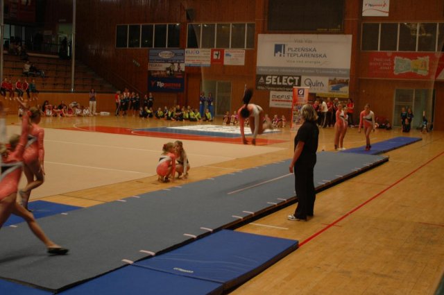 Plzeňský pohár 2012