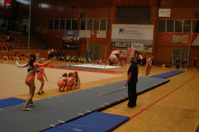 Plzeňský pohár 2012