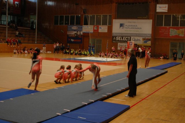 Plzeňský pohár 2012