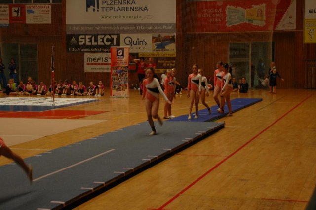 Plzeňský pohár 2012