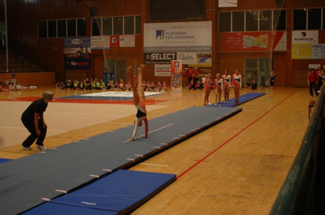 Plzeňský pohár 2012