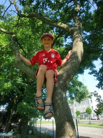 Poslední trénink 18.06.2012 - mladší